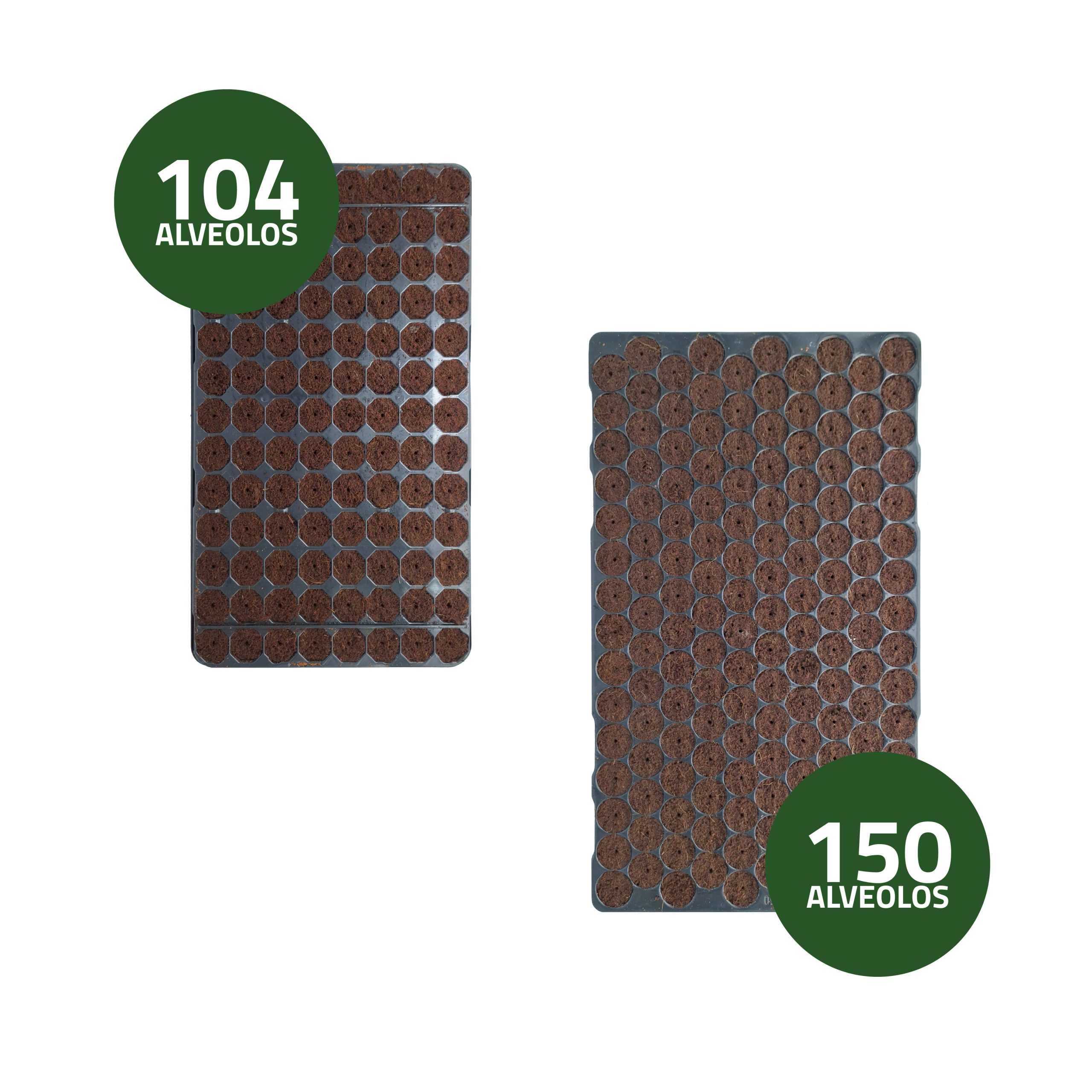 Plateau de Germination de Semences Humides 40 x 30 cm · Pack de 10 unités