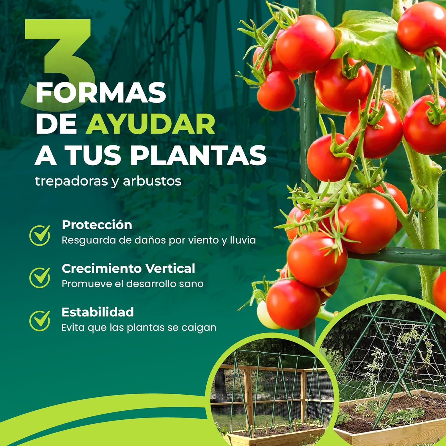 Pack de 30 tutores de acero recubiertos de PVC de 90 cm para jardinería · foto 2